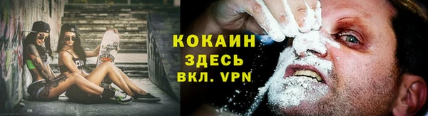 шишки Волосово