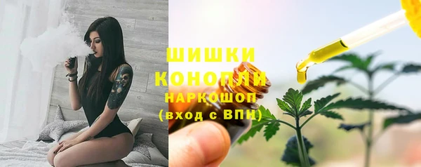 mdpv Волоколамск